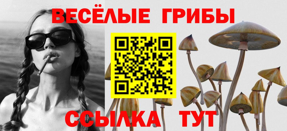 Галлюциногенные грибы MAGIC MUSHROOMS  Псилоцибиновые грибы Psilocybe  Дзержинск  Вход с VPN 